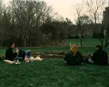 dejeuner sur l'herbe