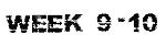 week 9-10